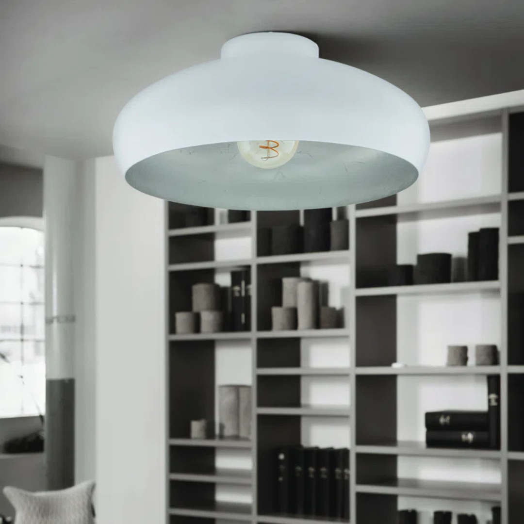 Ceiling light fixture in a room with bookshelves