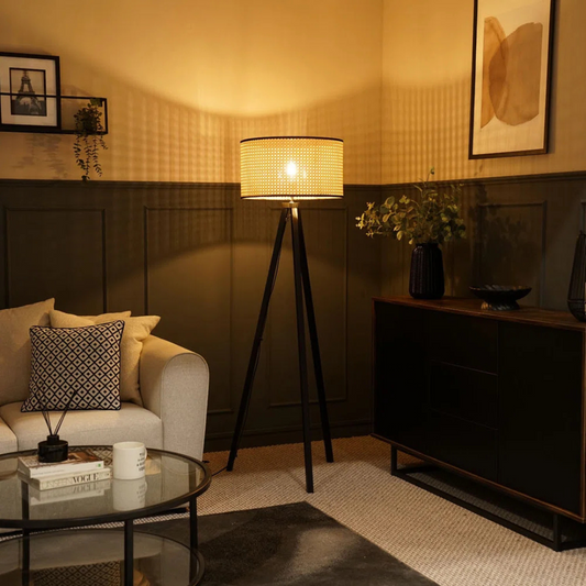 Living room with a floor lamp, sofa, and decorative items.