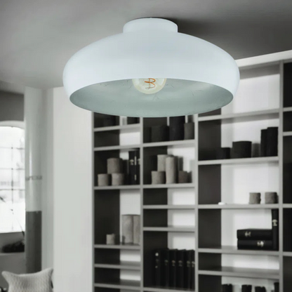 Ceiling light fixture in a room with bookshelves