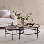 Modern living room with a glass coffee table, books, a vase, and a plant.